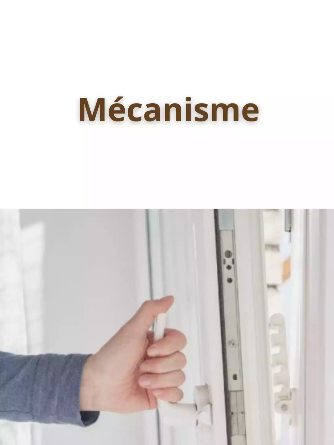 Votre-texte-de-paragraphe-_2_-min